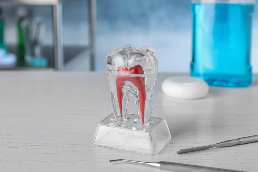 Que parte del diente se extrae en la endodoncia | Clínica Dental Silvia Utrilla
